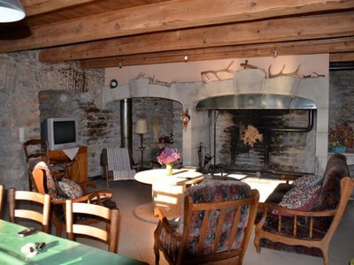 séjour avec cheminée et tv