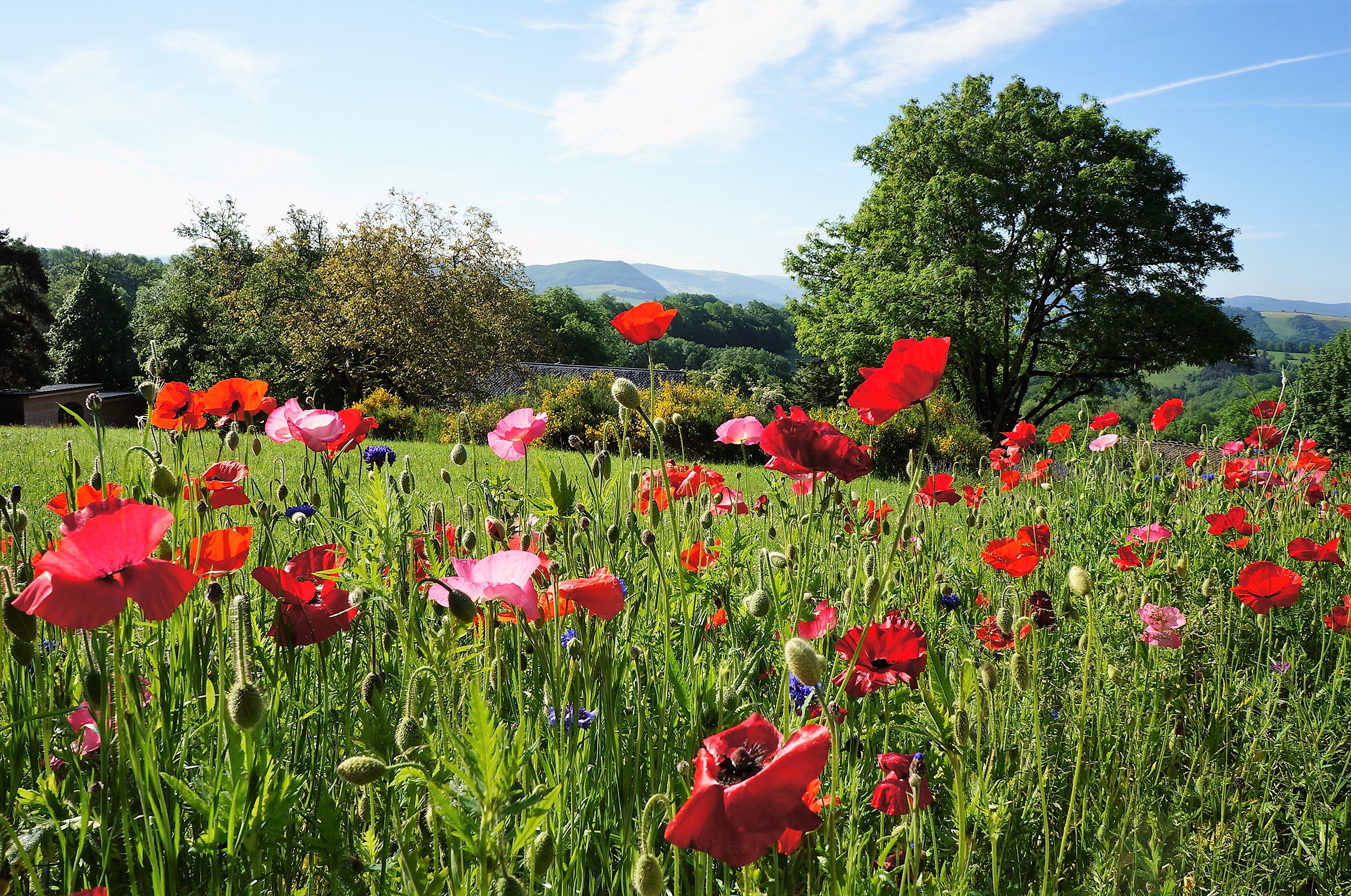 l'arrivée au domaine