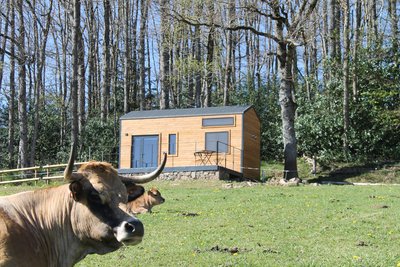 Tiny House Noubloux