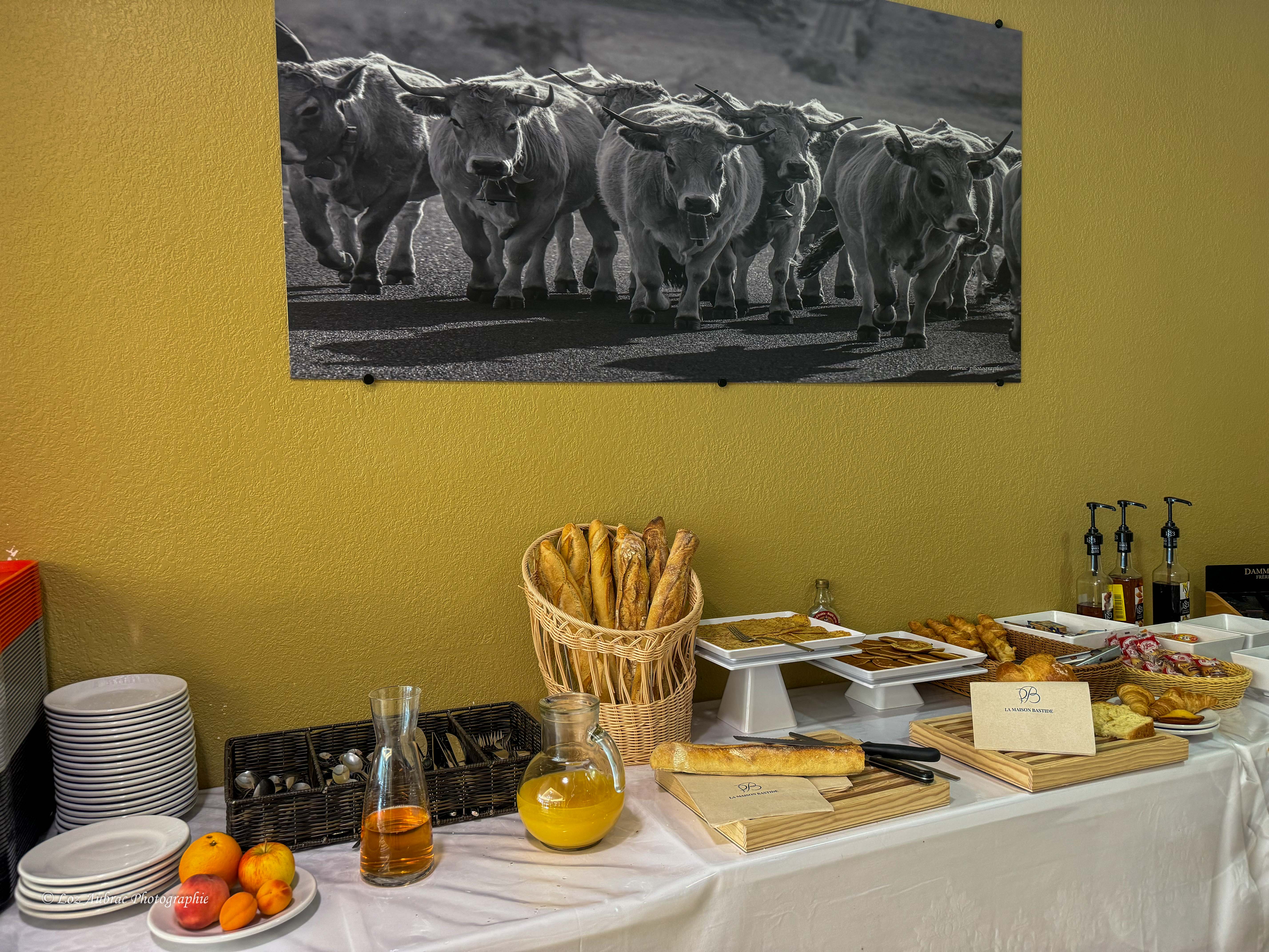 2025.photo.petit dejeuner