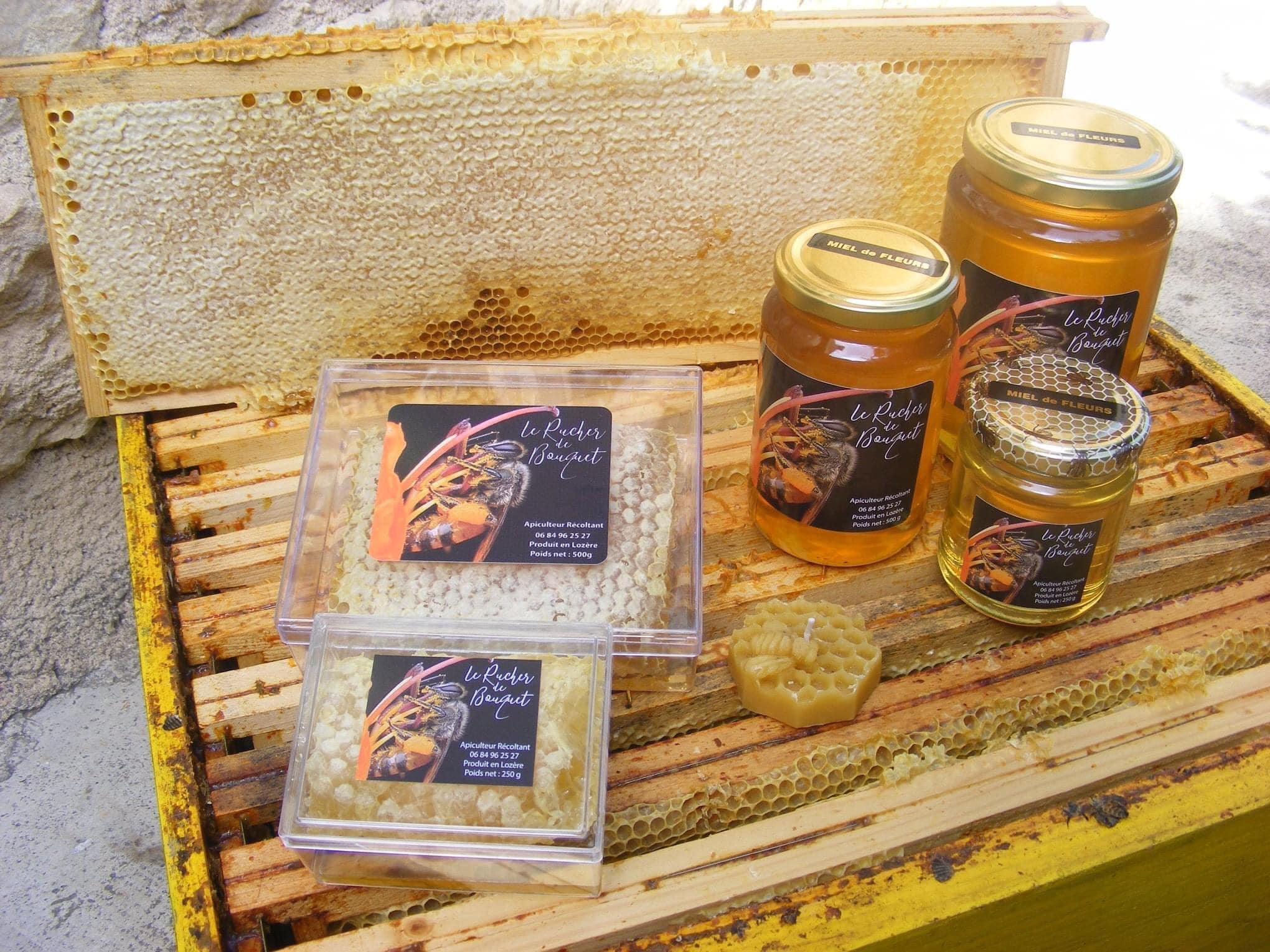 475967293_2473693349655834_5282444860794423708_n