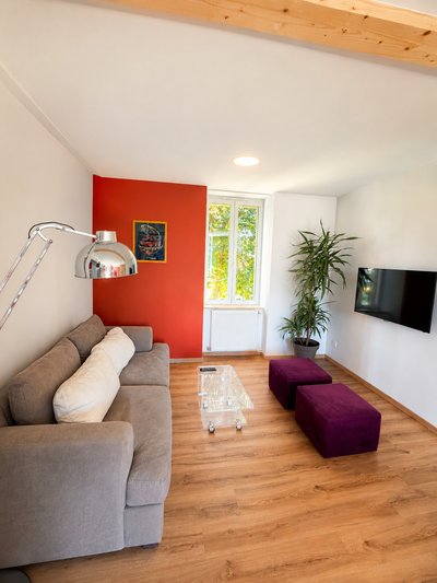 Gîte du Massegros _ Salon