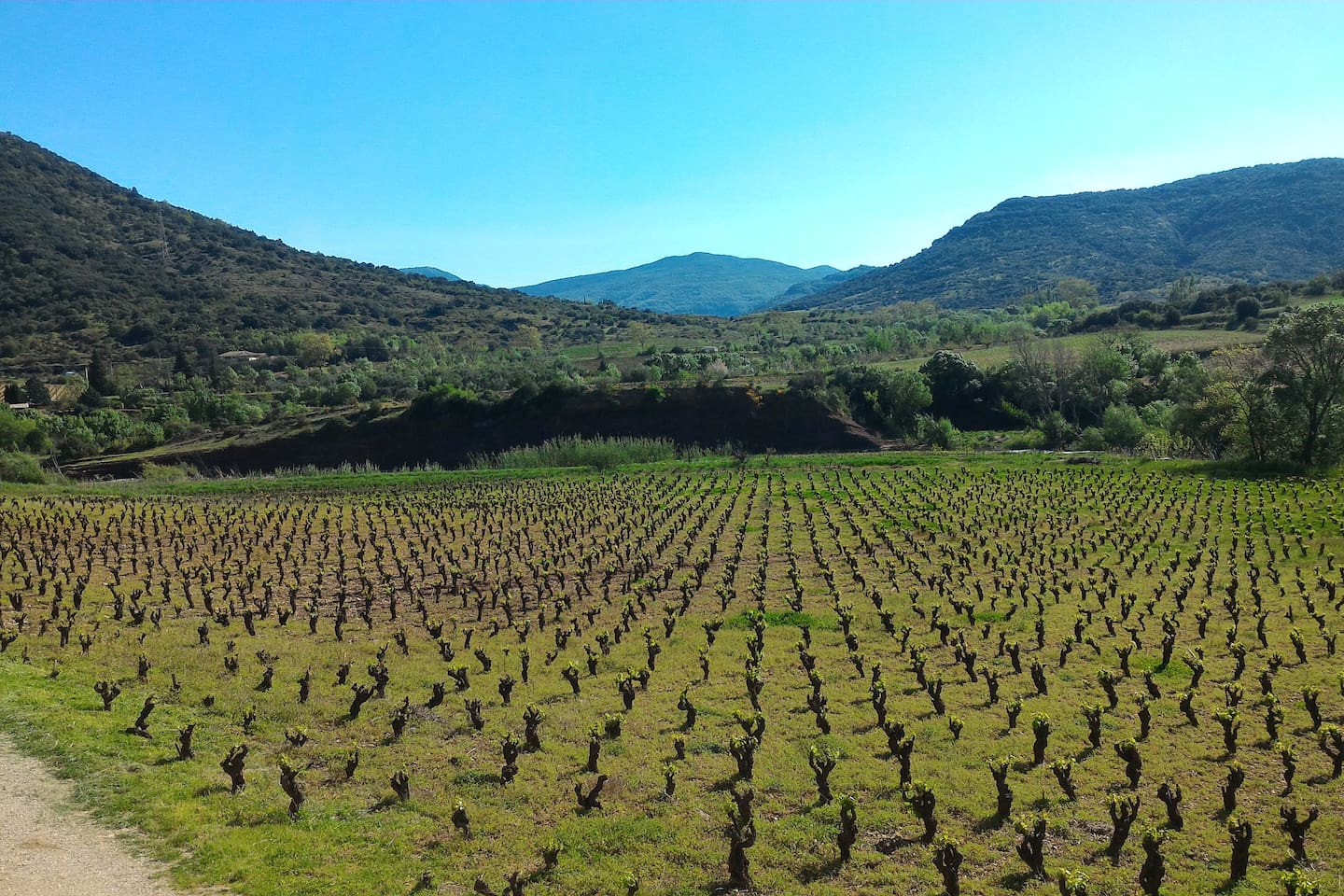 loc-domaine-mon-reve