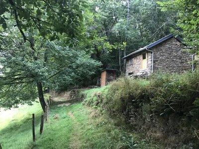 Refuge dans les bois