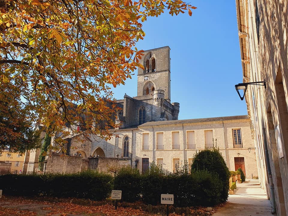 cafe du parc vue cathédrale