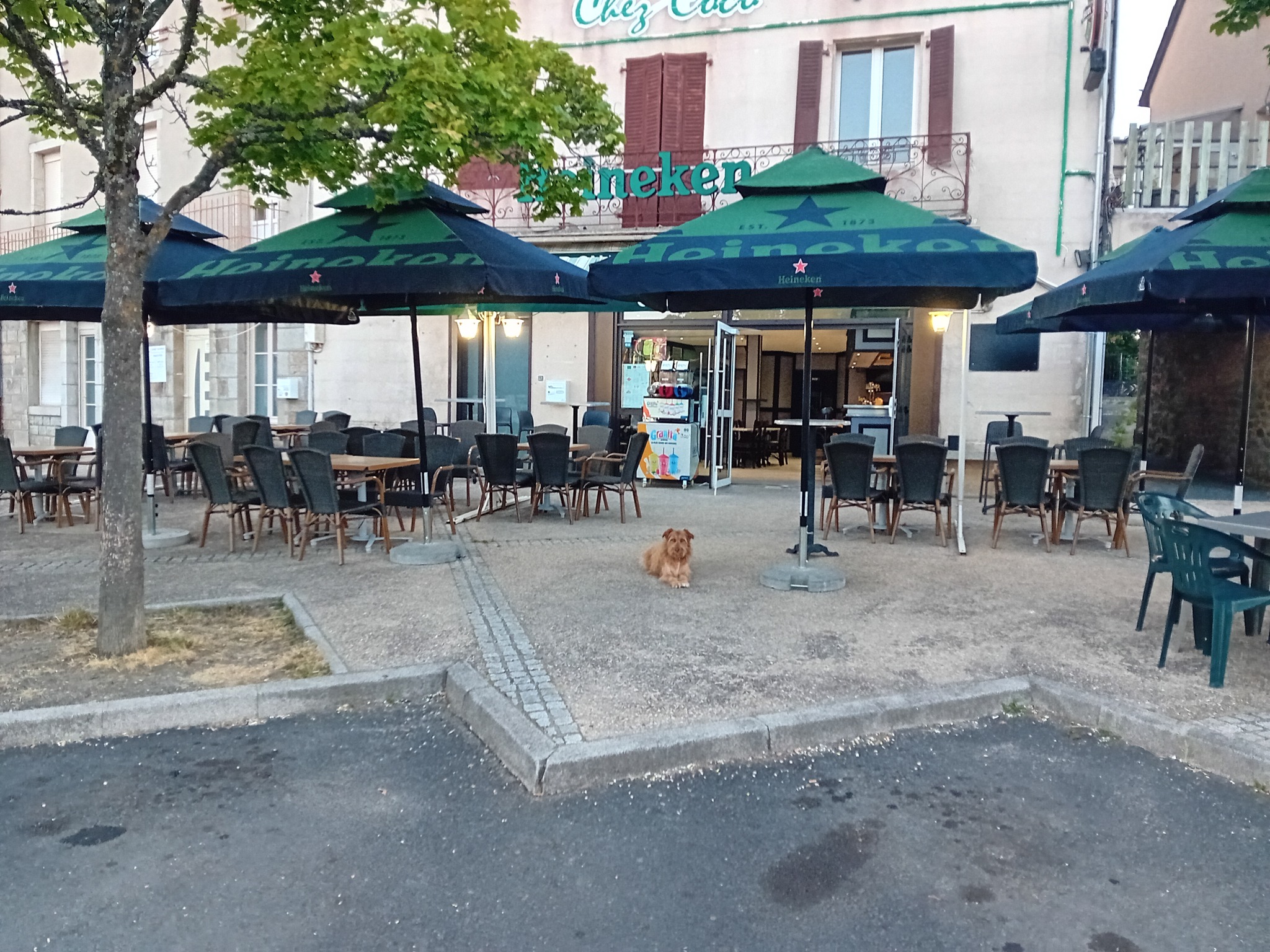 370807206_318213610663851_2570290632433035910_n