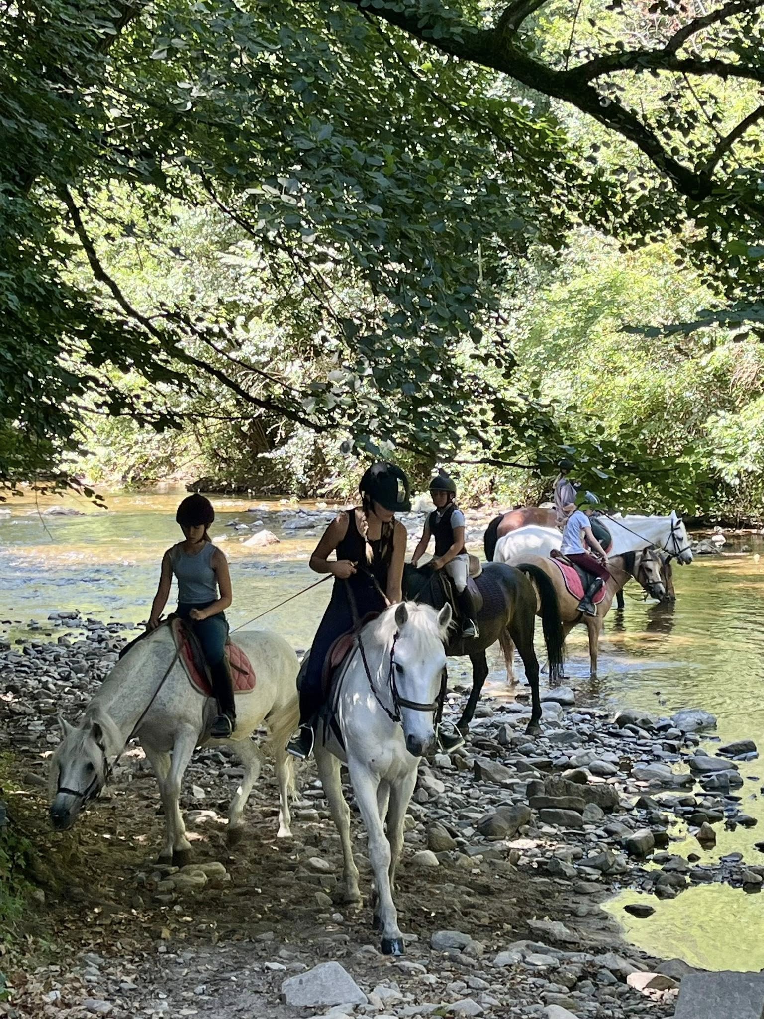 Club Hippique du Gévaudan