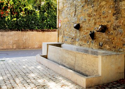 fontaine loups_paysage