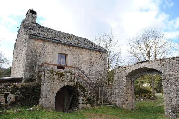 Gîte La Cardabelle