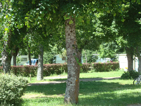 camping-municipal-de-gilliaou-00052855-0