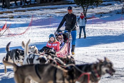 Journée Chien de traineau et repas au buron_Saint-Urcize