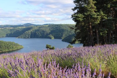 ferme florale de la Margeaubrac