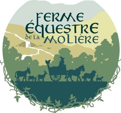 Stage équestre à la ferme de la Molière