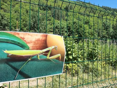Expo photo sur la biodiversité aux jardins partagés