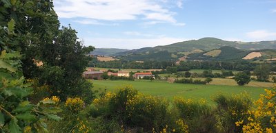 Vue sur la plaine de Salmanac