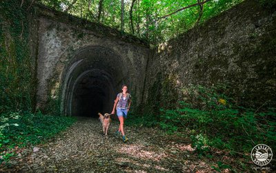 Le tunnel de Sauclières