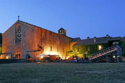 Concert extérieur nocturne Festival