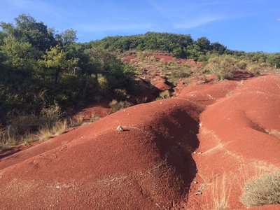 Le Rougier de Camarès