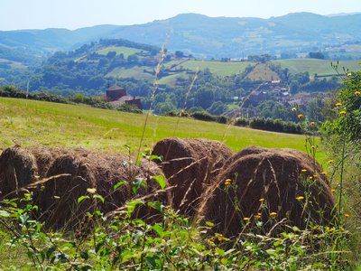 Vue Saint Izaire depuis le sentier au-dessus du Château
