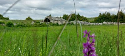 La jasse et son enclos