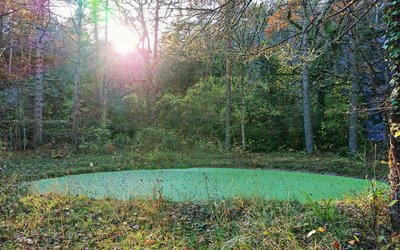 La lavogne de Canalettes
