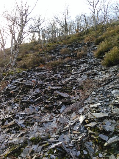 Les chutes de taille des ardoises