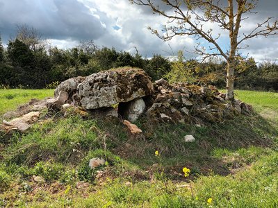 Dolmen de la Peyraube
