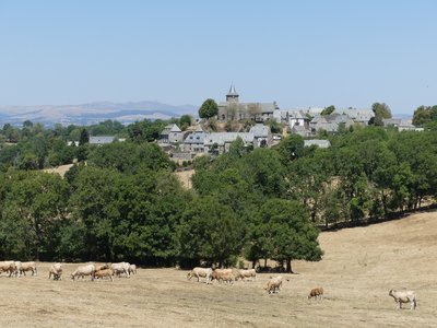 Vines offre des points de vue uniques sur le lac de Sarrans et les volcans du Cantal