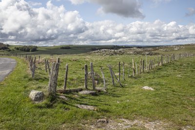 Estives du haut-plateau