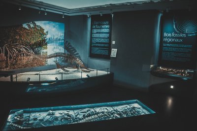 Musée de Millau