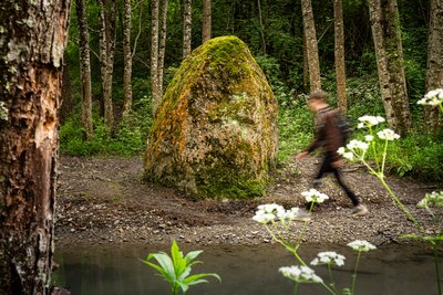 Menhir du Soulzon