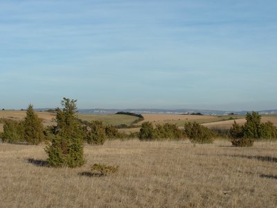 Causse du Larzac (La Rouquette)