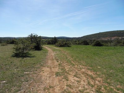 Les prairies steppiques
