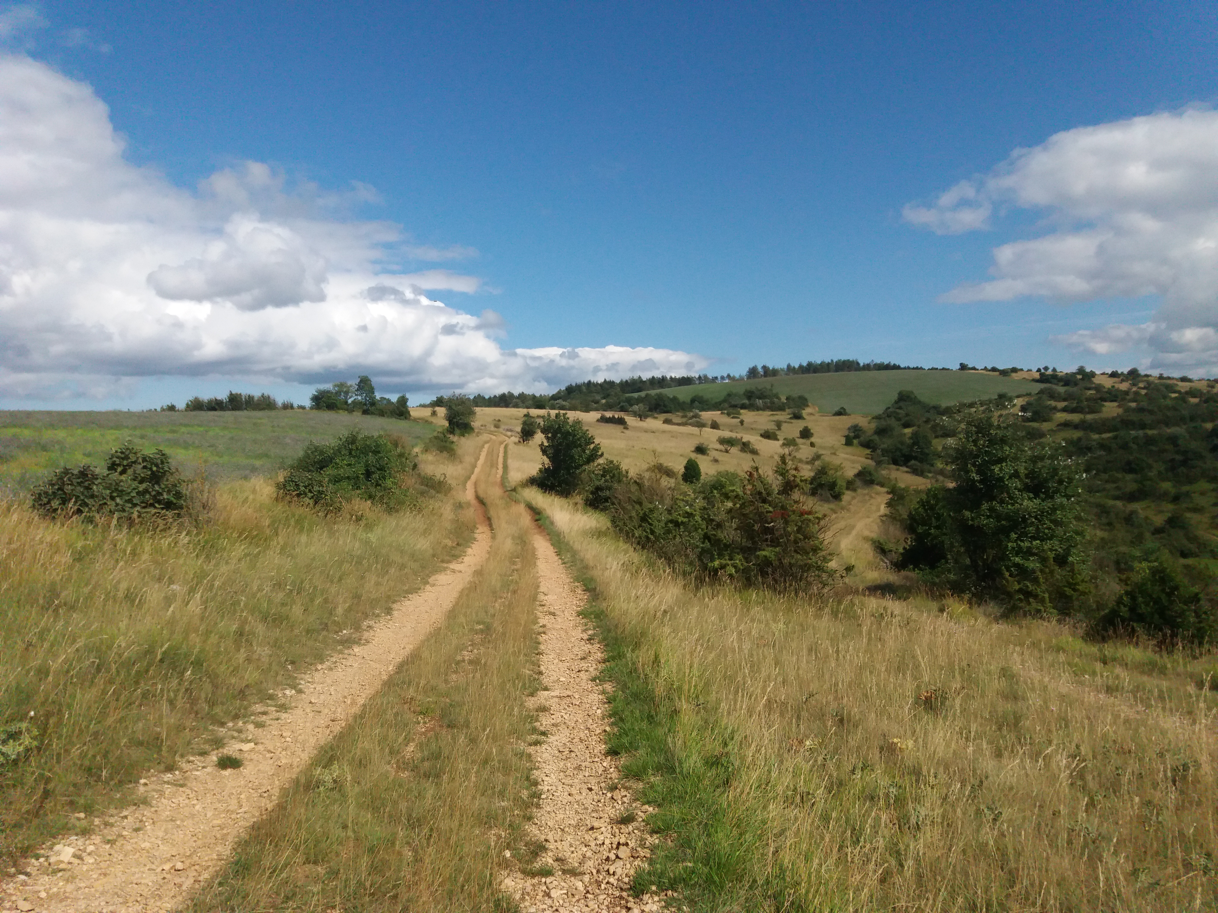 Le plateau de La Loubière par Clipis