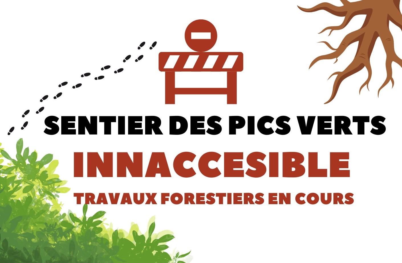 Sentier des Pics Verts