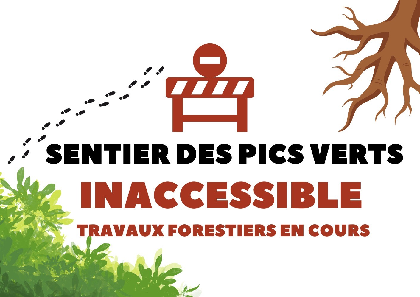 Sentier des Pics Verts