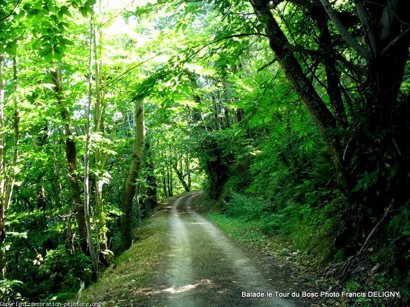Balade autour du Bosc
