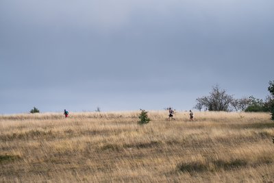 Plateau de la Loubière
