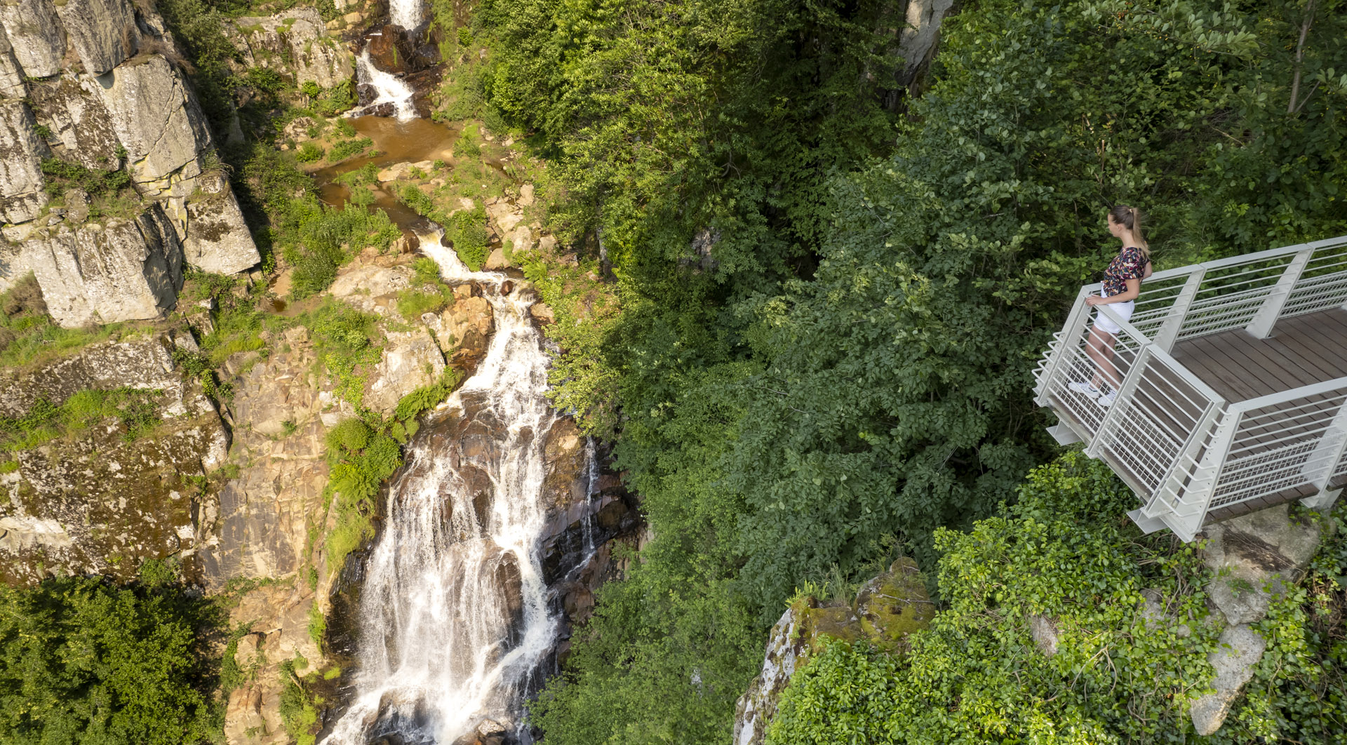 Le Saut du chien baigné de soleil