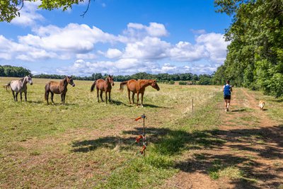 Autour de La Fageole