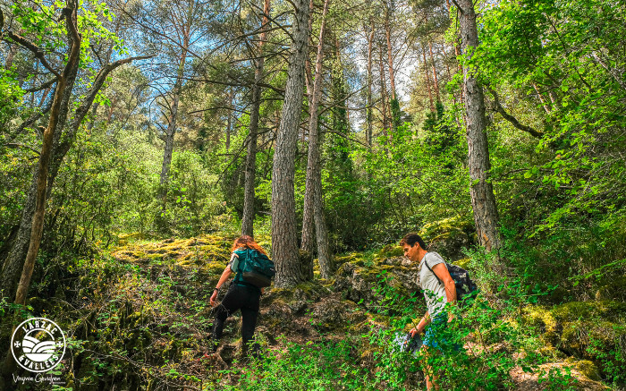 La Source du Durzon - Canalettes