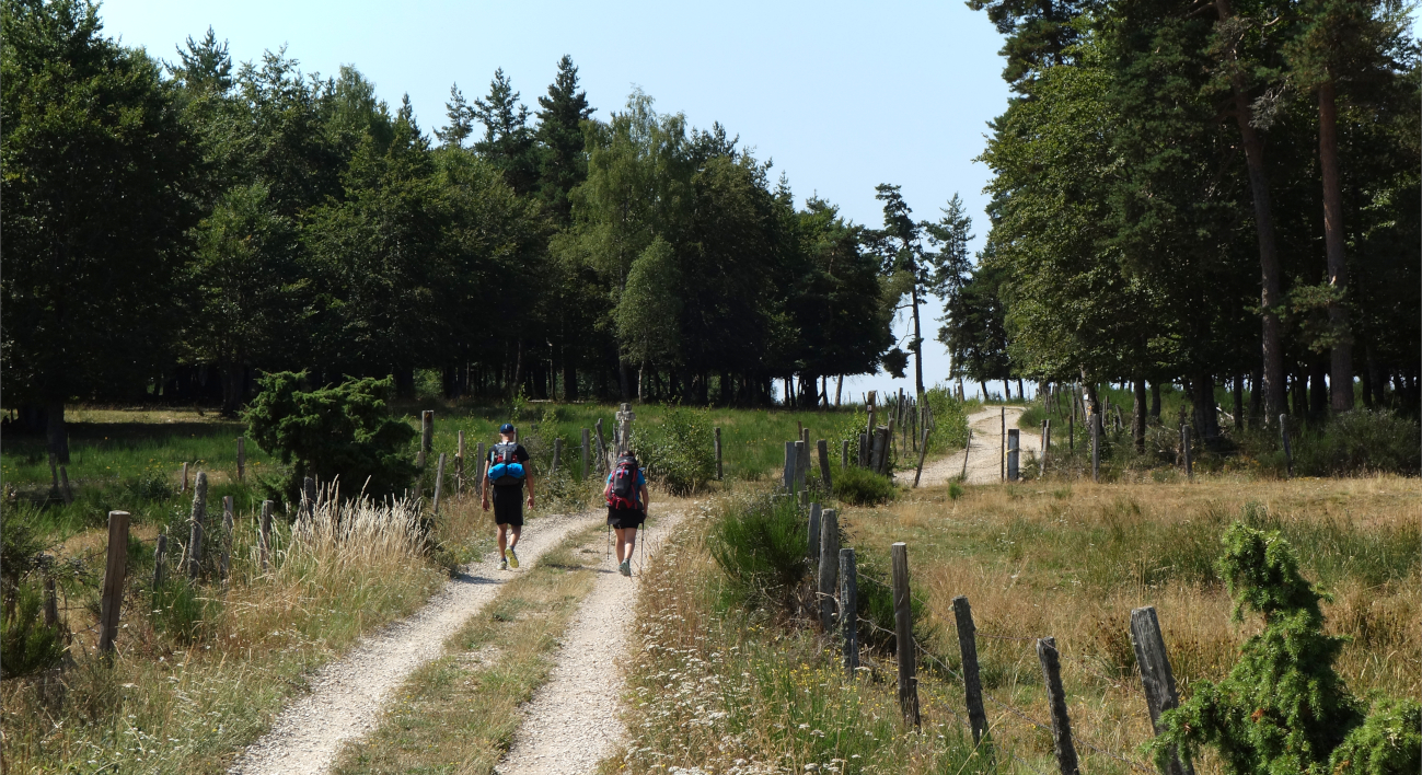 Randonneurs marchant vers Soulages