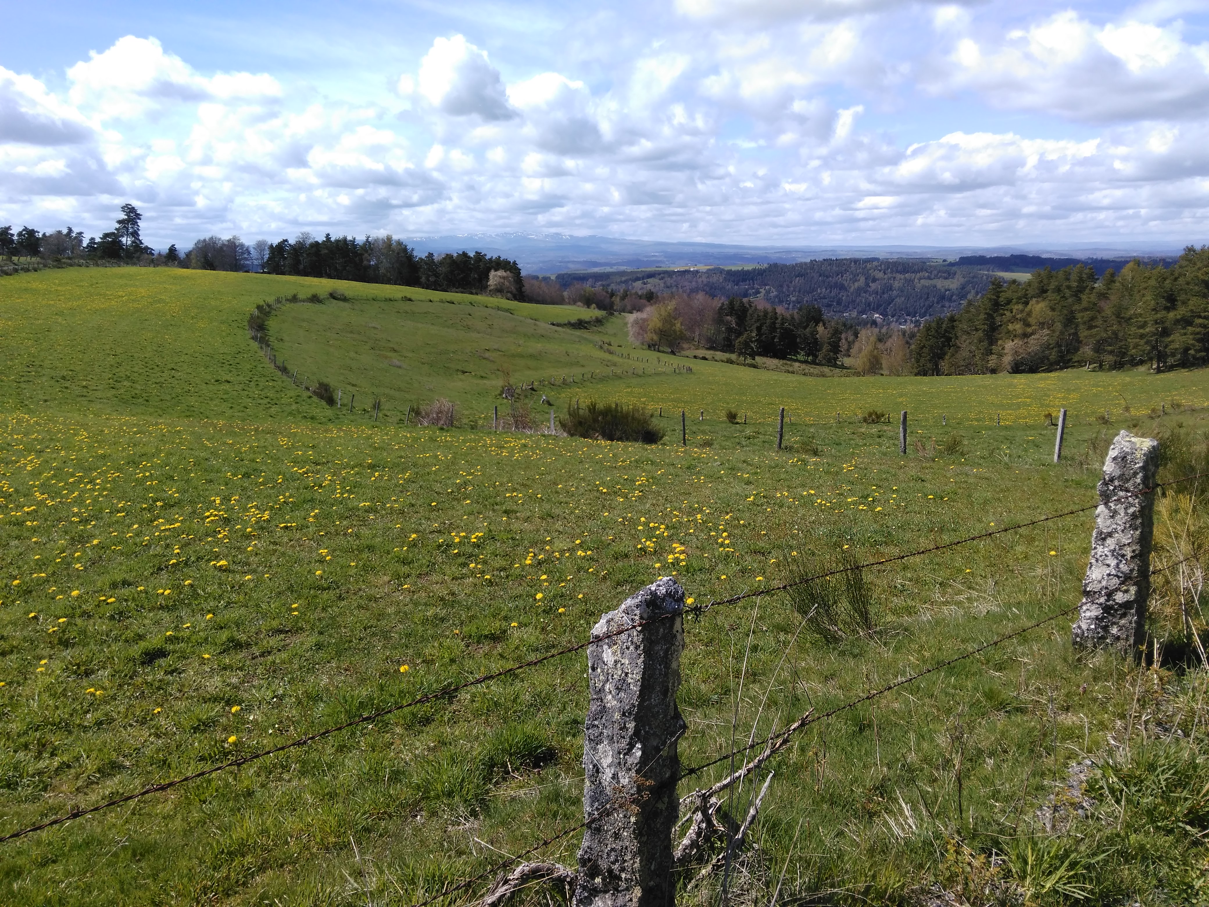 Les perspectives sur  le Plomb du Cantal