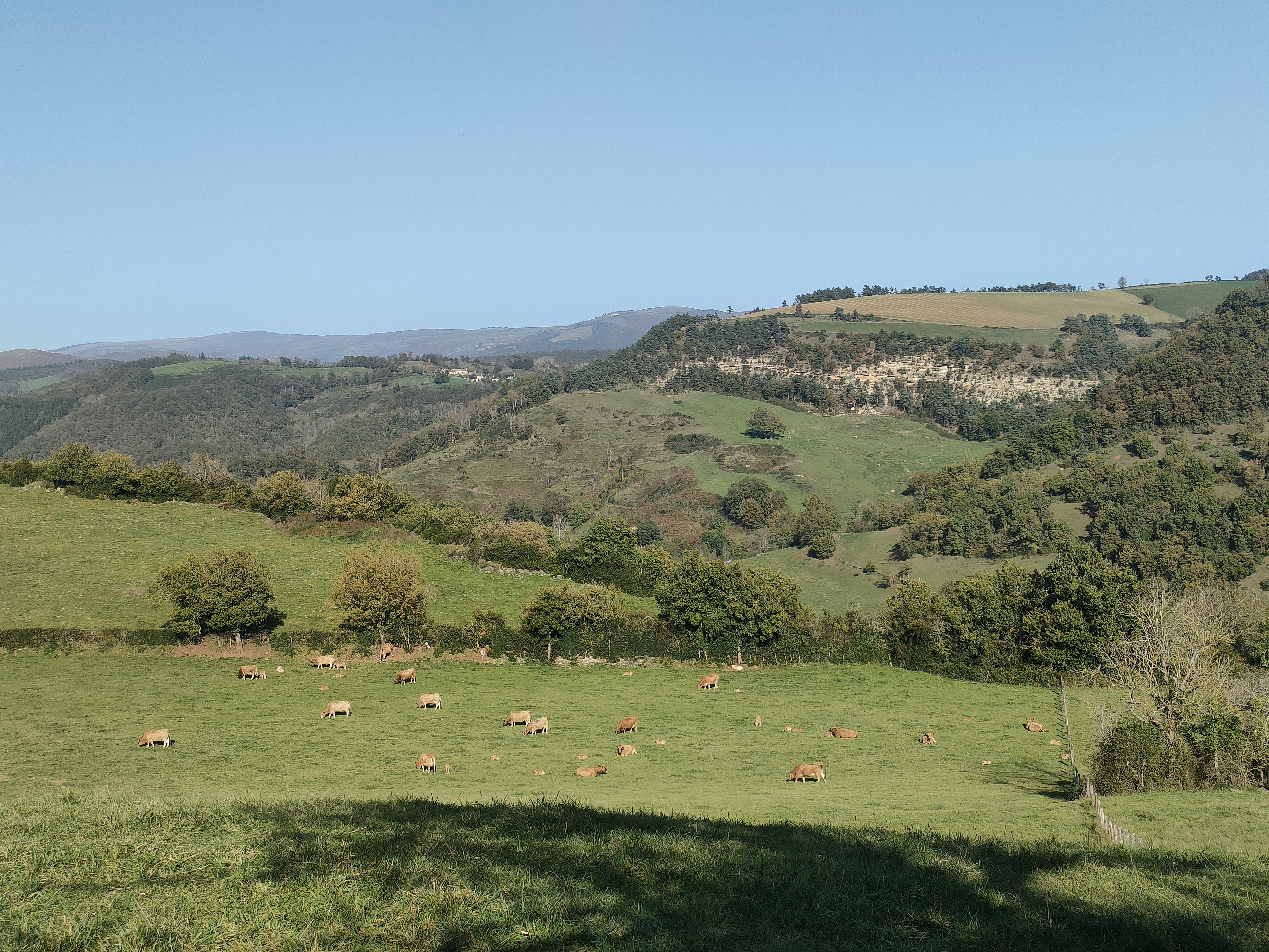 Vue sur les strates calcaires inclinées au dessus de Marnhac