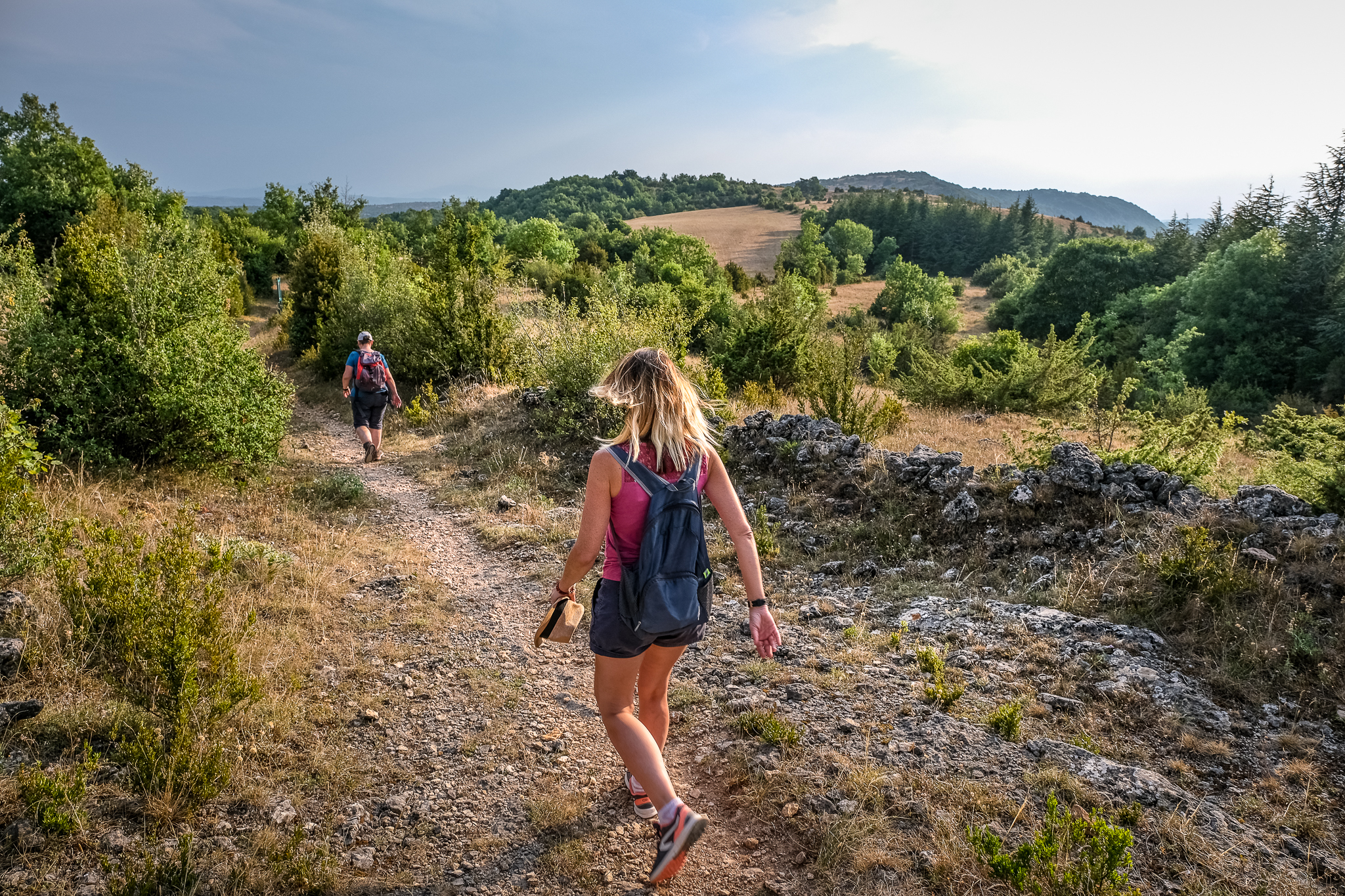 Sur le plateau du Guilhaumard