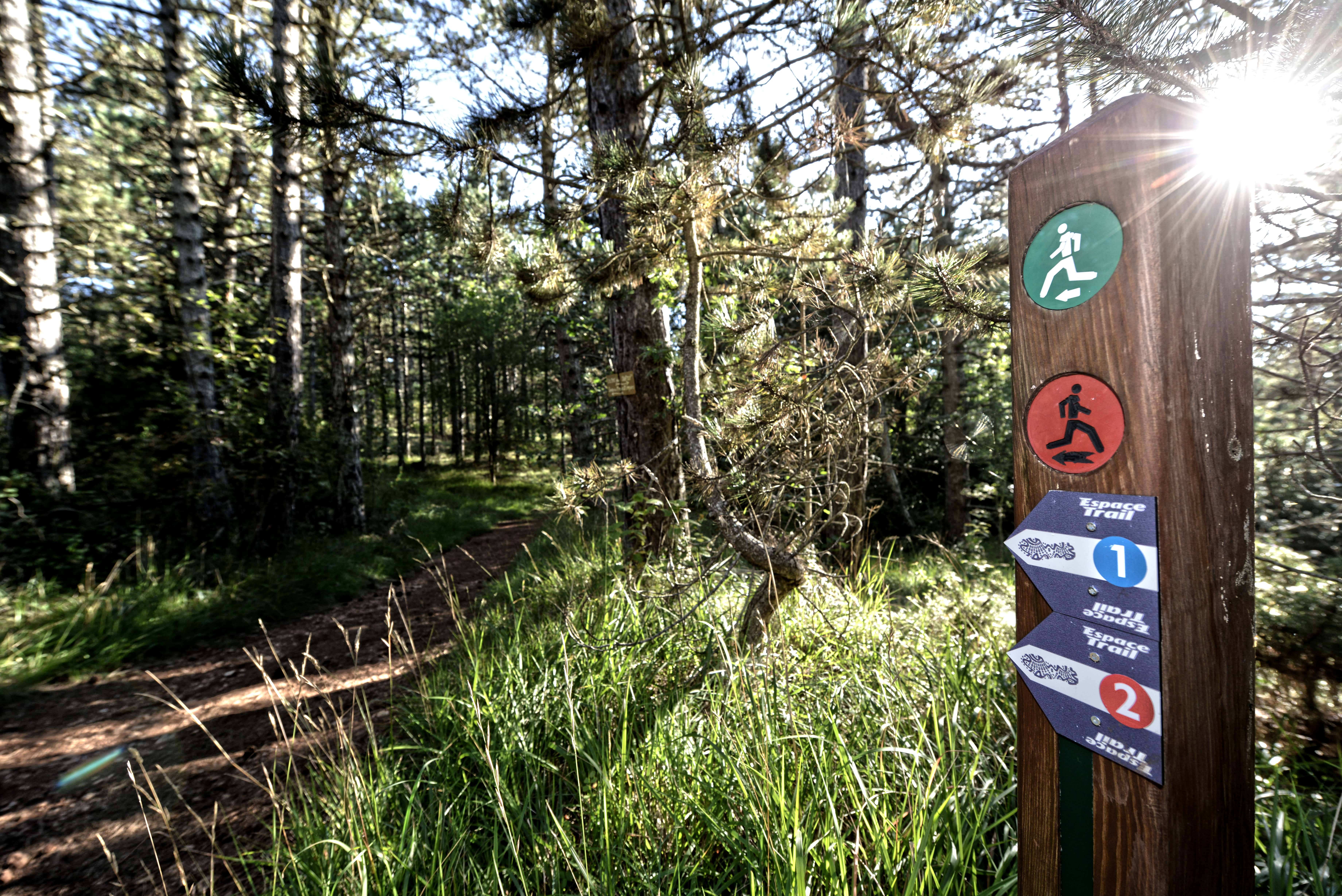 Balises Espace Trail