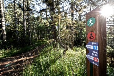 Balises Espace Trail
