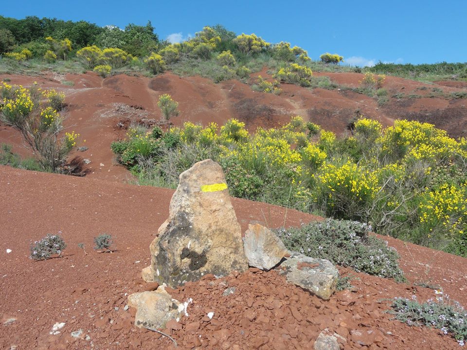 Le Rougier de Camarès