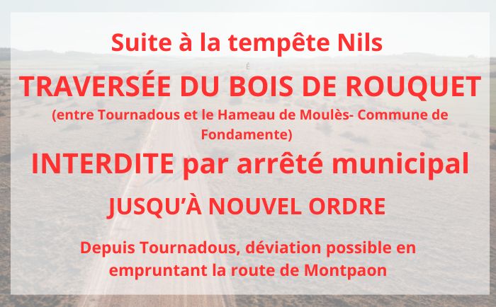 Gravel N°24 - A la découverte des cités templières