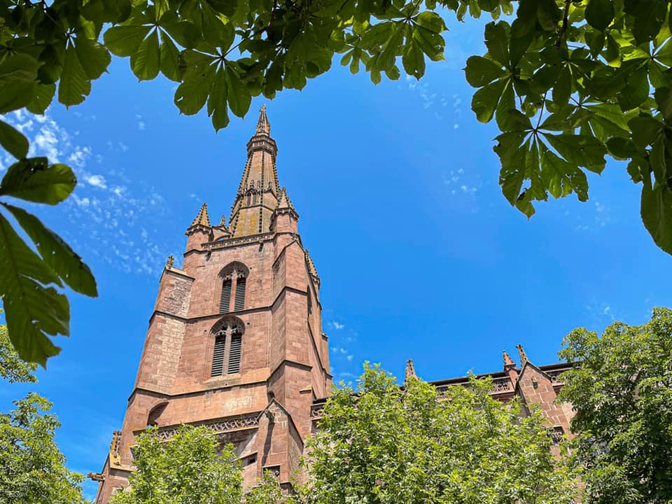 Trail N°31 Belmont - Vallée du Rance